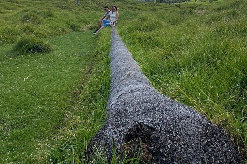 A pipeline in a grassy field with two people sitting on it. 4