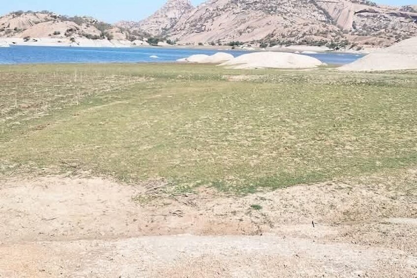 Udaipur And Jawai Leopard Safari 4 Nights 5 Days 1