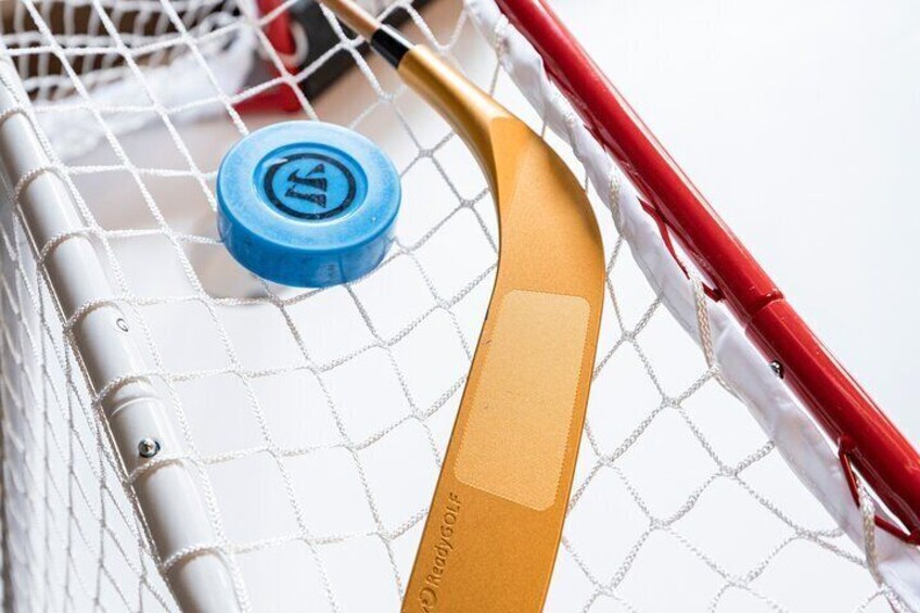 A hockey stick, a blue puck, and a net. 5