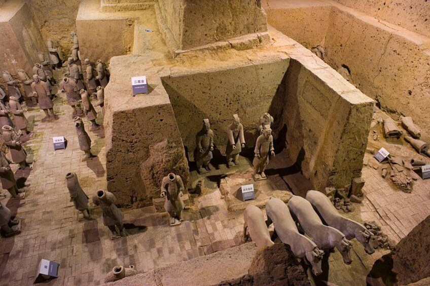 Premium Terracotta Warriors Tour and Clay Warrior Workshop 3