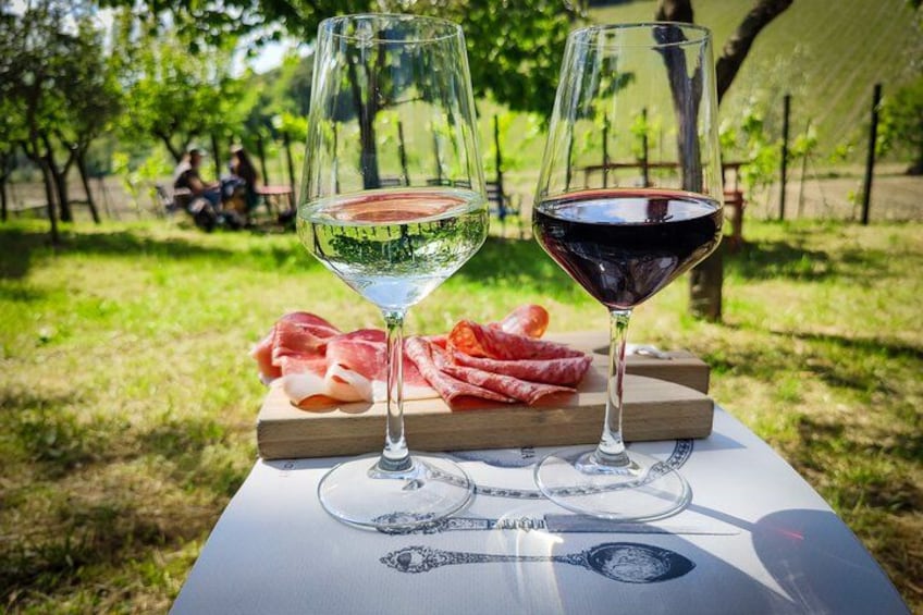 From Florence Chianti Wine Tour with Tastings Half Day 4