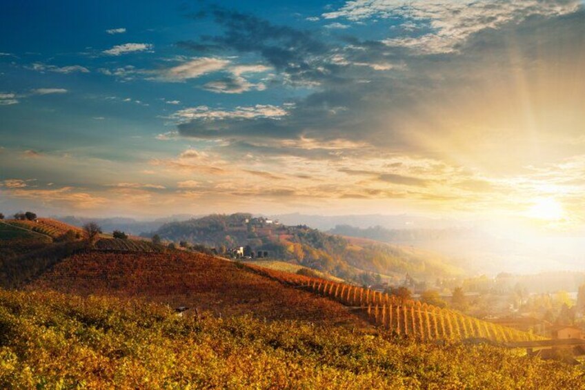 From Florence Chianti Wine Tour with Tastings Half Day 3