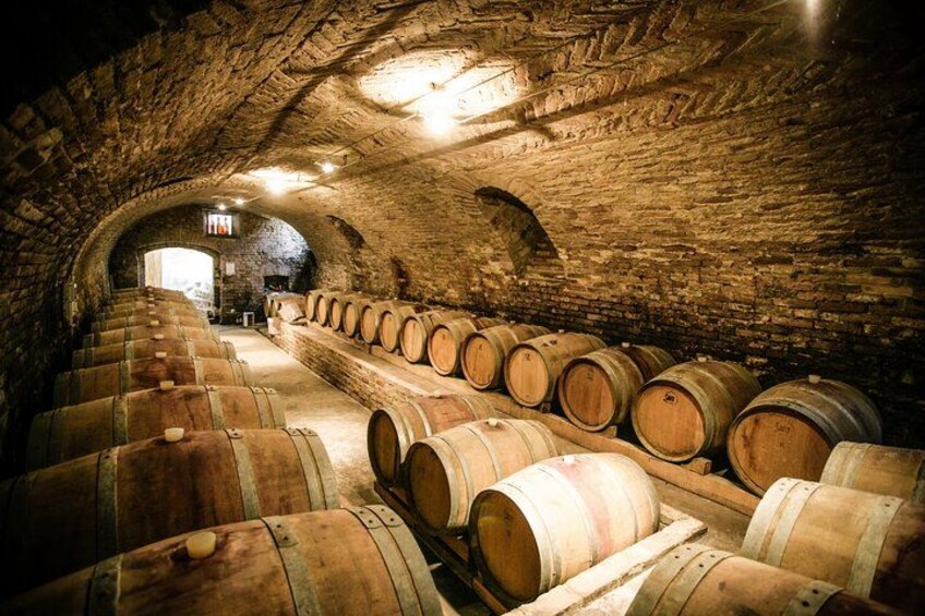 From Florence Chianti Wine Tour with Tastings Half Day 2