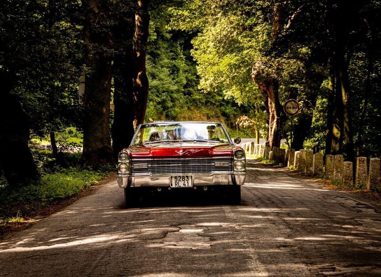 A vintage red car parked on a tree-lined road. 4