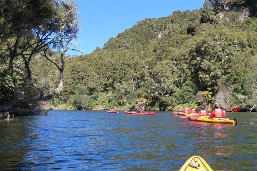 A river with kayaks, surrounded by dense forest and hills. 2