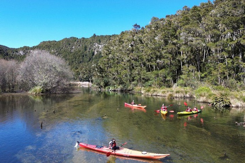 A calm lake with kayaks, surrounded by dense forest. 4