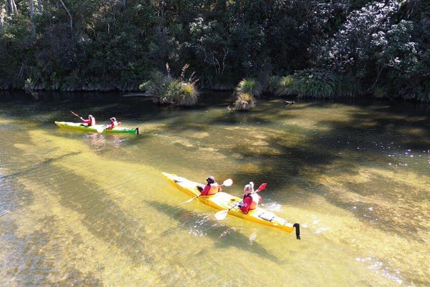 Three kayakers on a river surrounded by dense greenery. 3