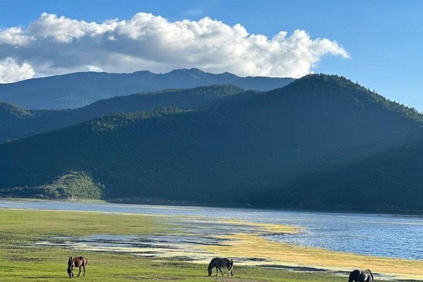 A lake with horses grazing on the shore, surrounded by mountains. 3