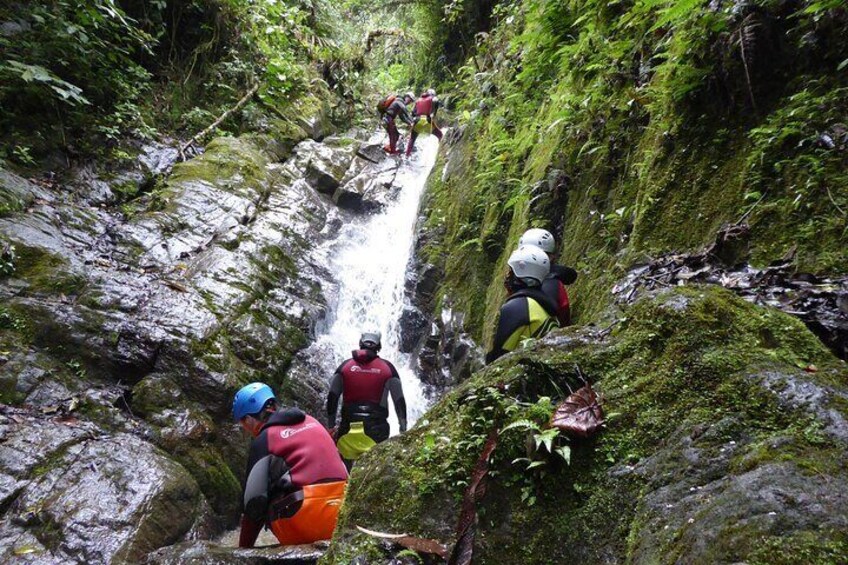 A group of people climbing a rocky waterfall in a forested area. 3