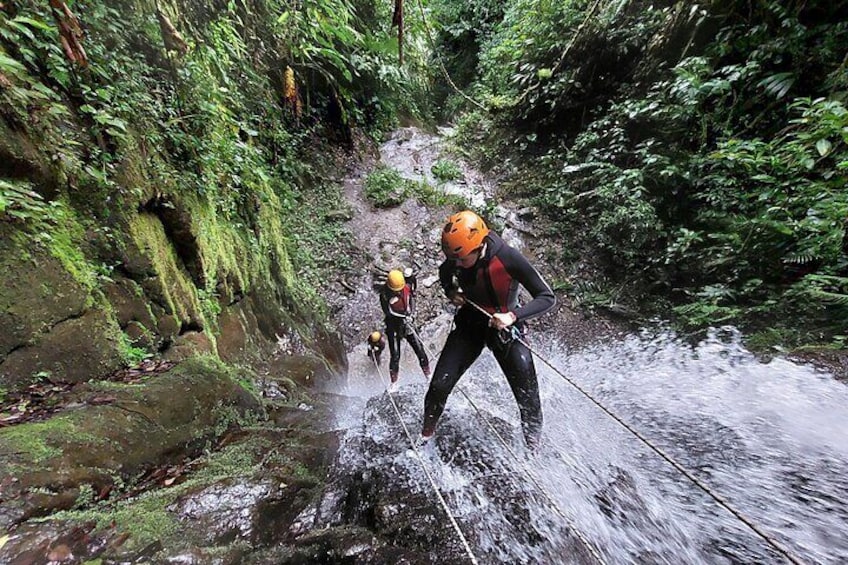 Two people rappelling down a rocky waterfall in a forested area. 1