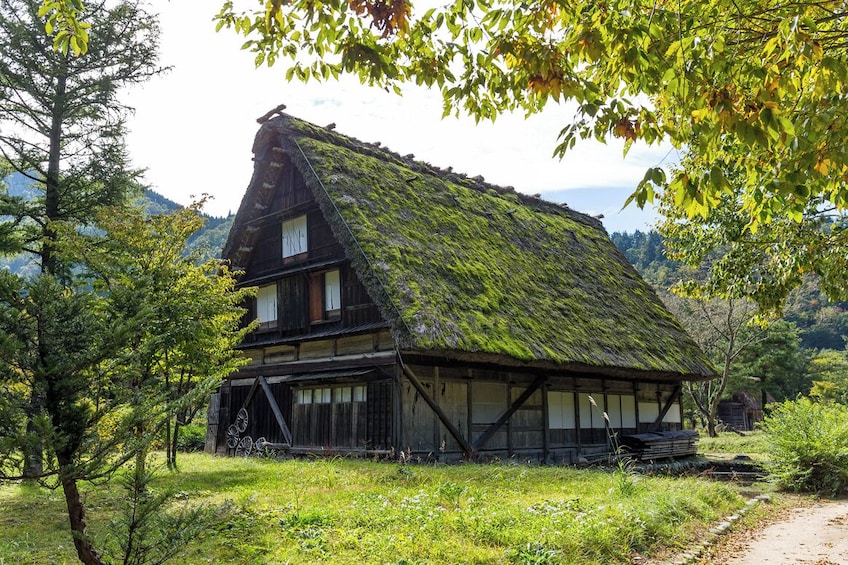 Shirakawago and Kanazawa from Osaka 4