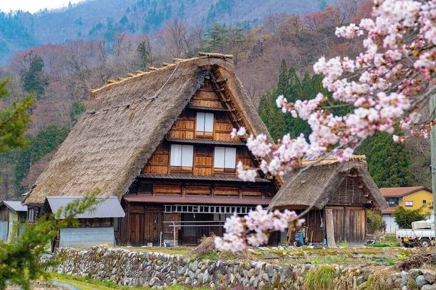 Shirakawago and Kanazawa from Osaka 1