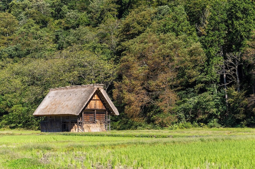 Shirakawago and Kanazawa from Tokyo 2