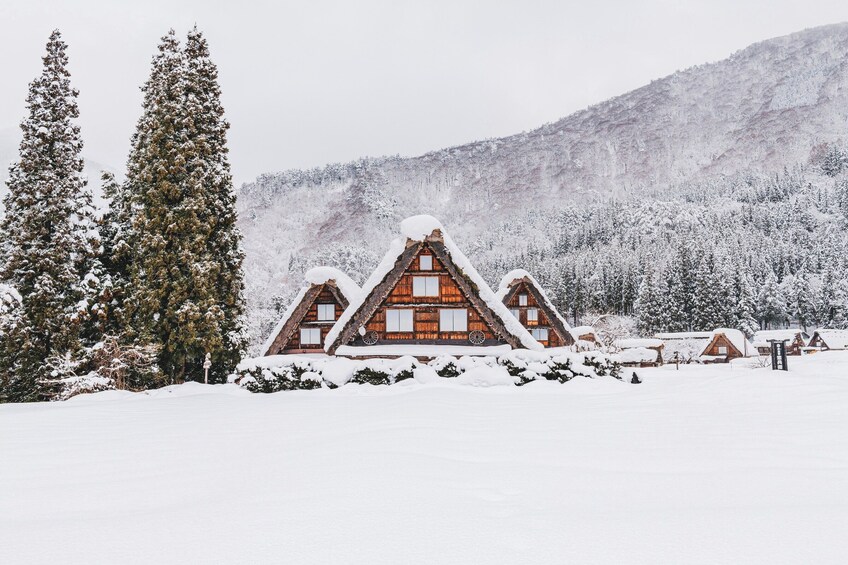 Shirakawago and Kanazawa from Tokyo 1