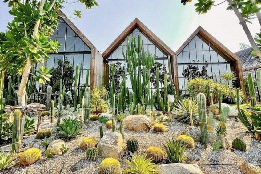 A desert garden with cacti and succulents, a wooden structure with large windows, and a clear sky. 4