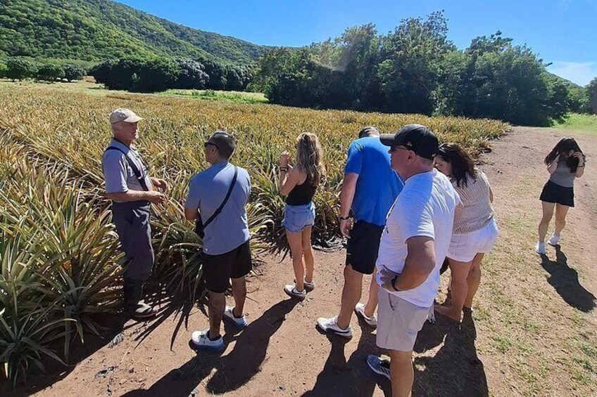 Private Antigua Island Tour 5