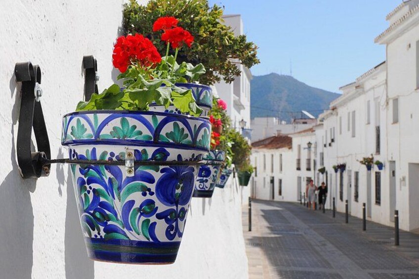 A hanging flower pot with red flowers on a white wall, a street with white buildings, and a mountain in the background. 3