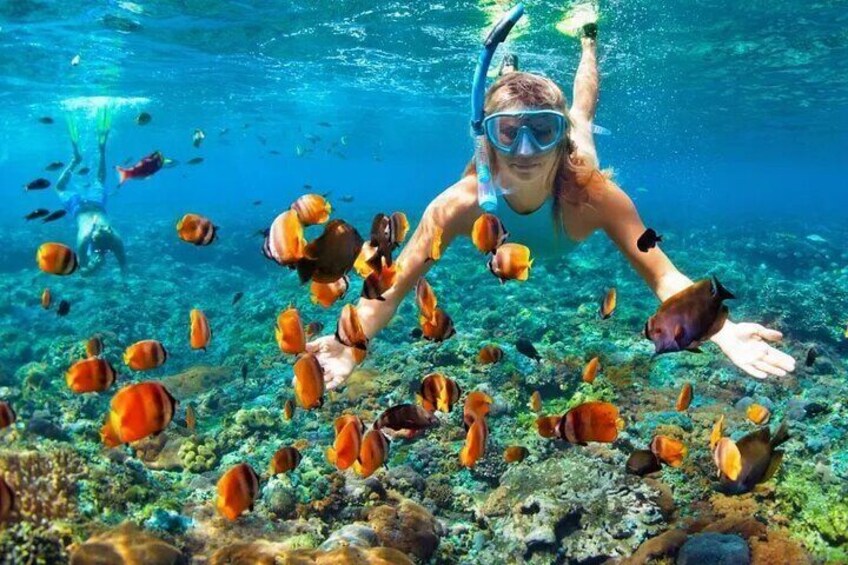 A person snorkeling underwater surrounded by colorful fish. 1