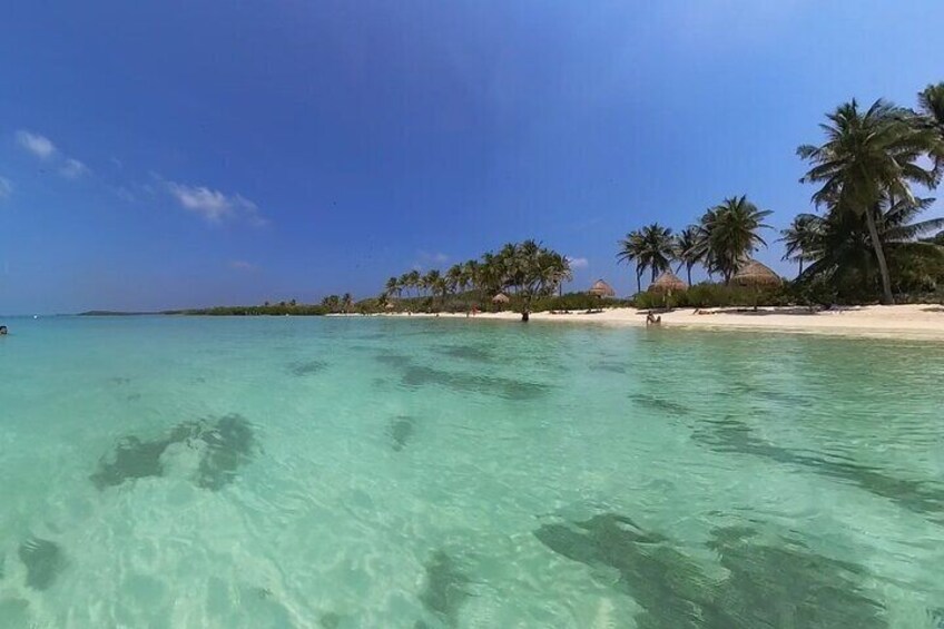 Contoy Island & Mujeres island, snorkeling & lunch on the beach. 5
