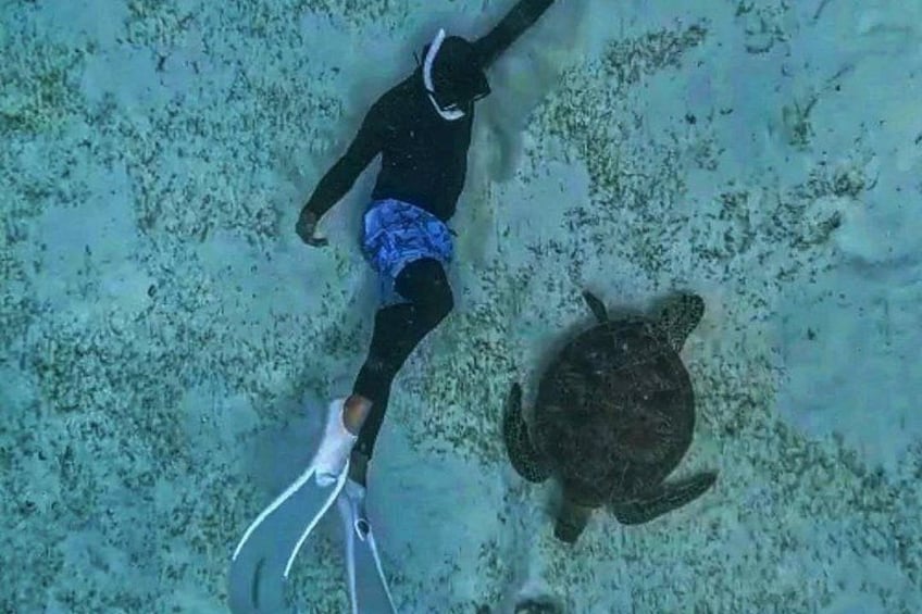 A person snorkeling with a sea turtle on a sandy seabed. 2