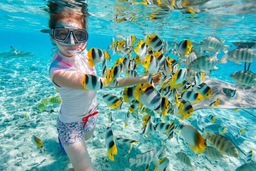 A person snorkeling underwater surrounded by tropical fish. 5