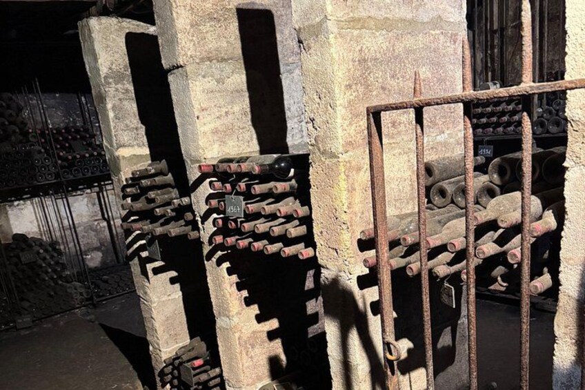 Saint-Émilion & Pomerol E-Bike & Wine Tour by Monsieur Bacchus 3