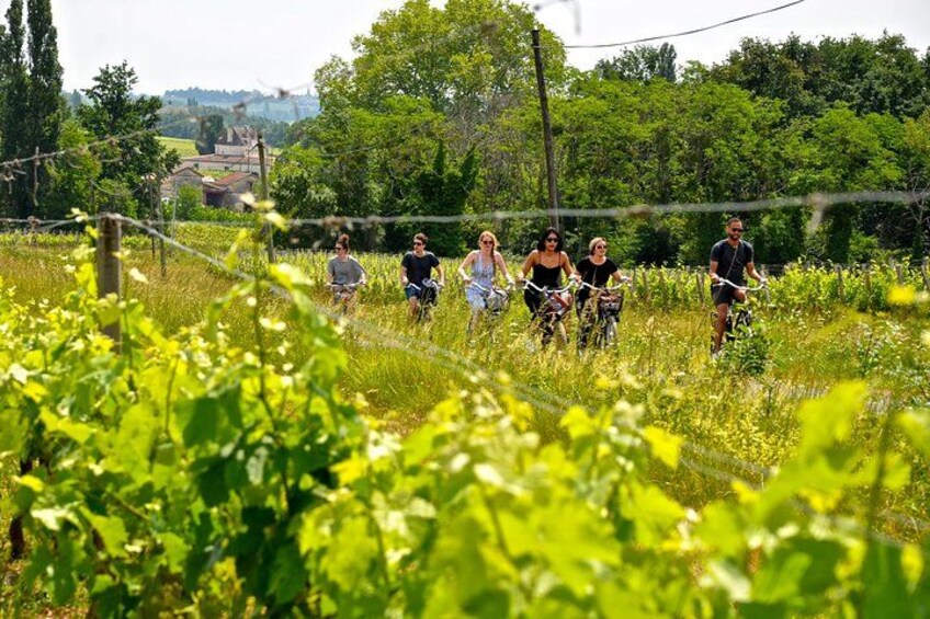 Saint-Émilion & Pomerol E-Bike & Wine Tour by Monsieur Bacchus 1