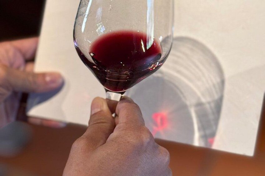 Una mano sosteniendo una copa de vino tinto. 2