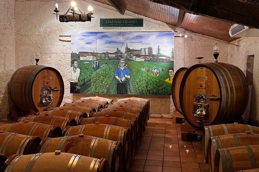 Saint-Émilion & Pomerol E-Bike & Wine Tour by Monsieur Bacchus 3