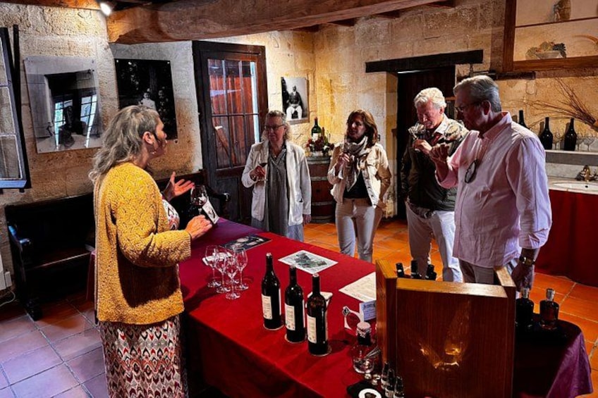 Saint-Émilion & Pomerol E-Bike & Wine Tour by Monsieur Bacchus 5