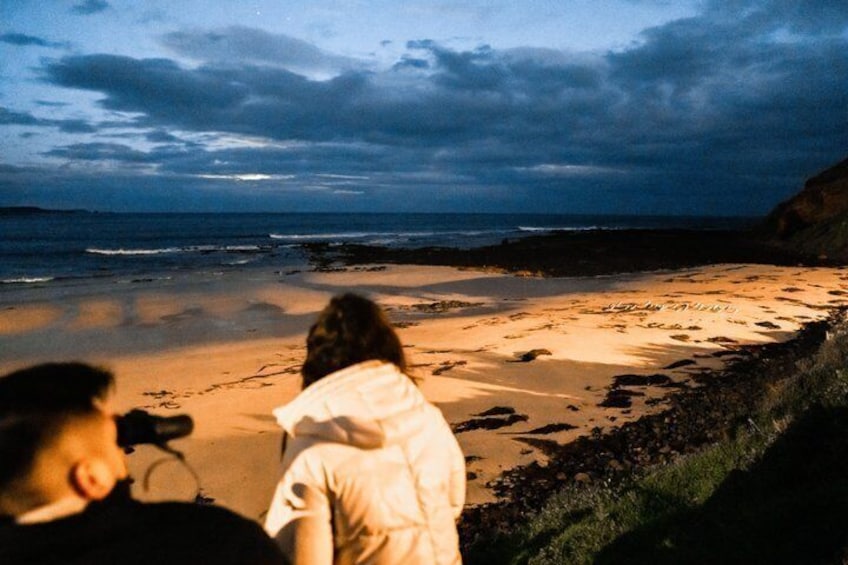 Phillip Island Private Tour: Koalas, The Nobbies & Penguin Parade 2