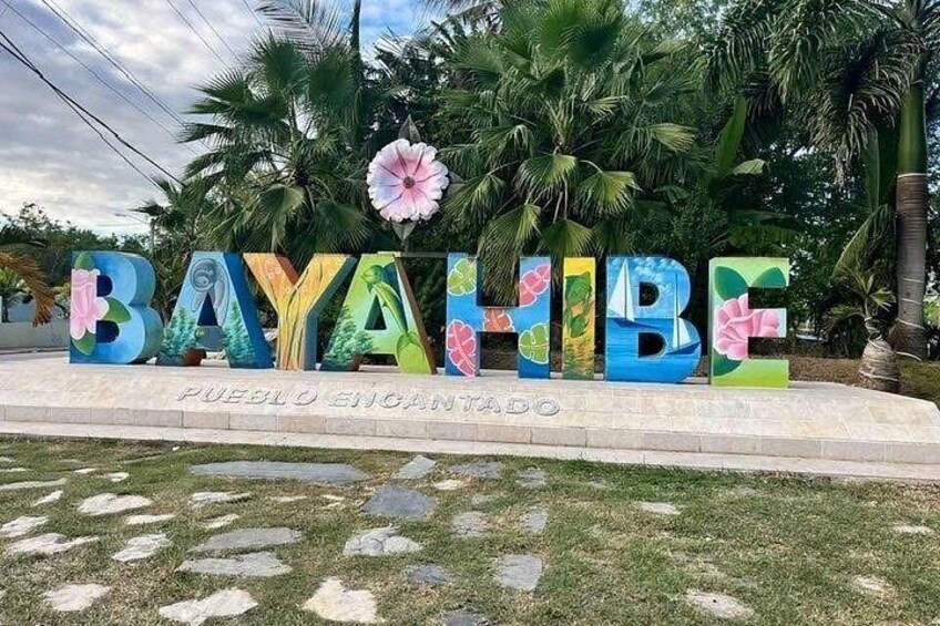 Colorful letters spelling 'BAYAHIBE' with palm trees and a pink flower in the background. 2