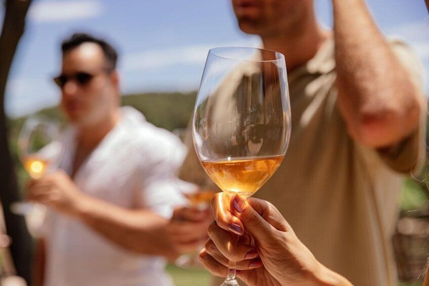 Barcelona: Private Horseback Riding + Luxury Winery Visit 2