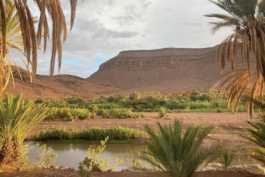 Walking tour in Oasis Fint 1