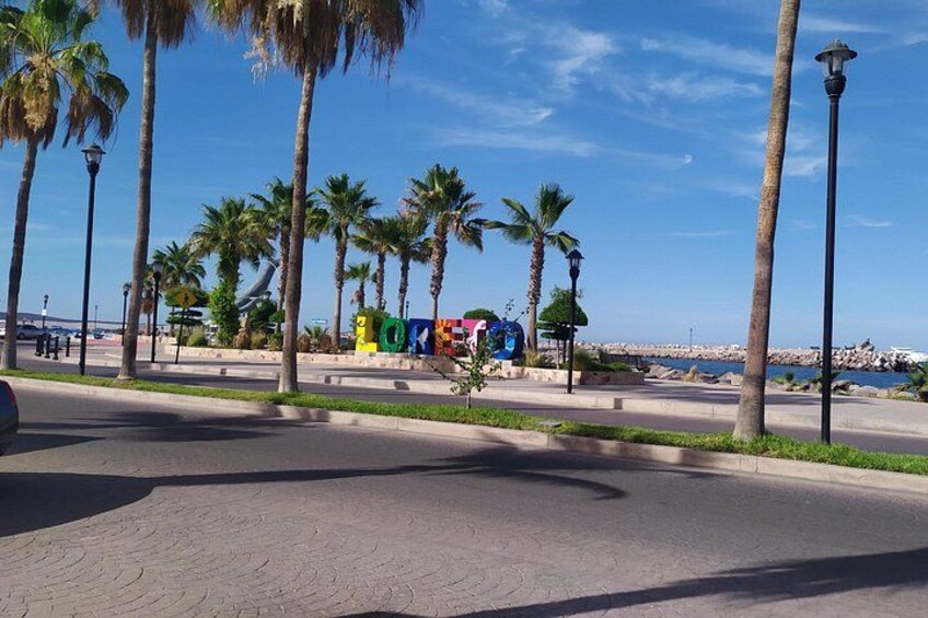 A paved walkway lined with palm trees, a colorful sculpture, and a clear blue sky. 2