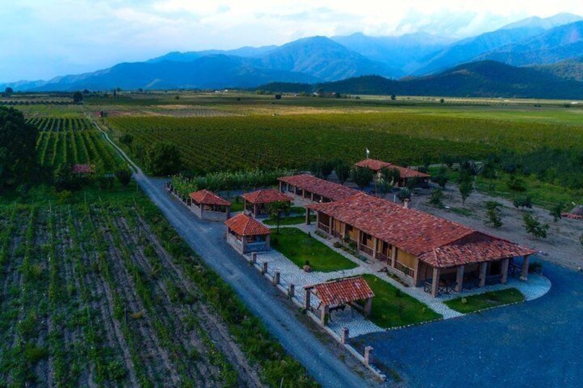 A vineyard with terraced fields and a building with red-tiled roofs. 1