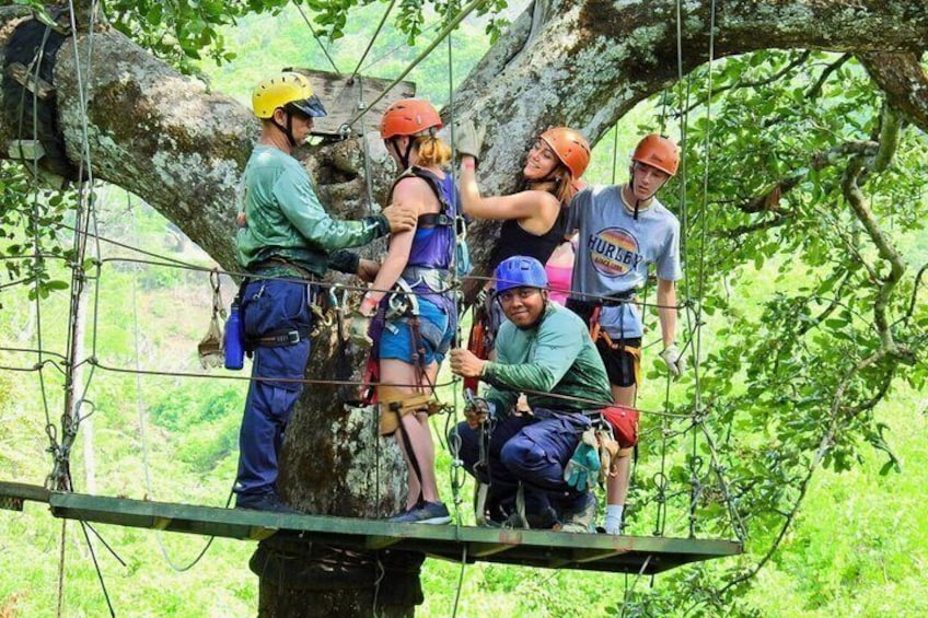People on a tree-top zip line in a forest. 4
