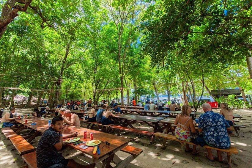 An outdoor gathering with people seated at wooden picnic tables under trees. 2