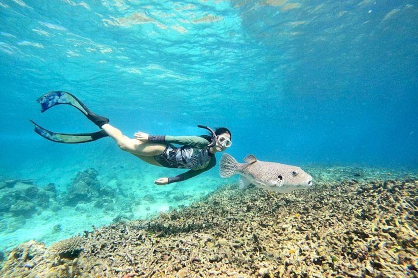 A diver swimming with a fish in clear blue water. 1