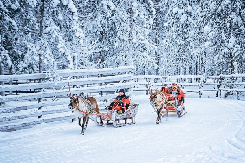 Two reindeer pulling sleighs with people dressed in red, in a snowy forest. 2