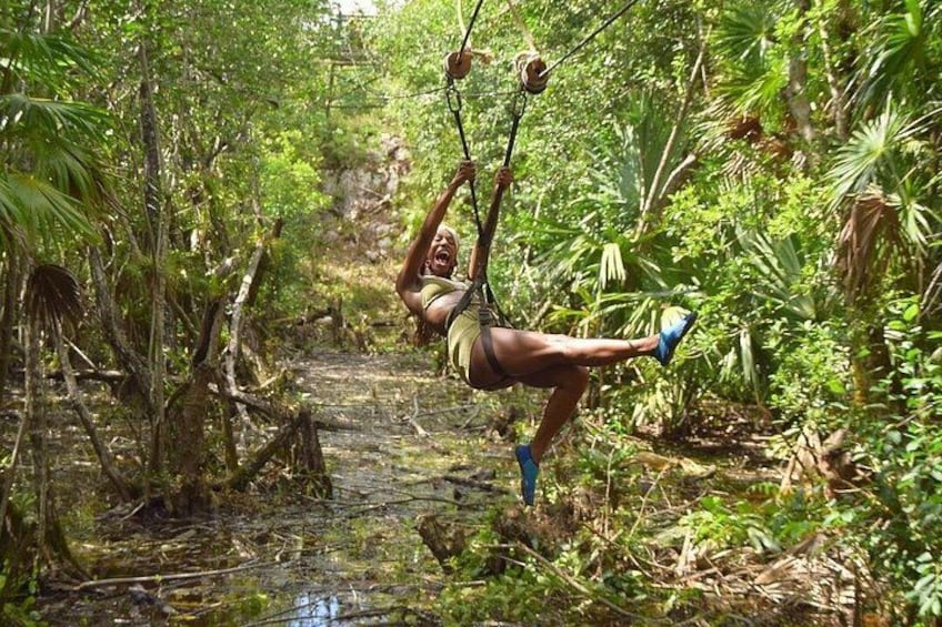 Una persona se balancea en una cuerda a través de un bosque frondoso. 2