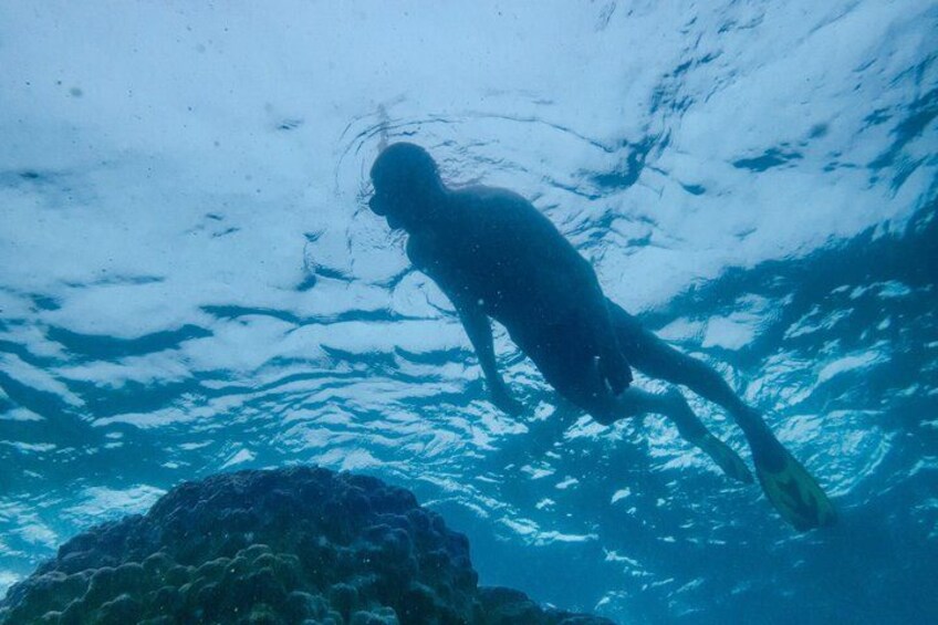 Lombok Group Tour | Hidden Gili Islands Snorkelling & Island Hop 2