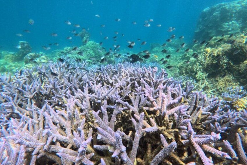 Lombok Group Tour | Hidden Gili Islands Snorkeling & Island Hop 4