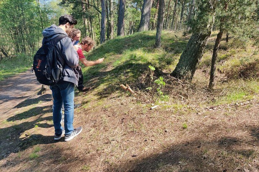 A forested area with a dirt path, trees, and a person pointing. 3