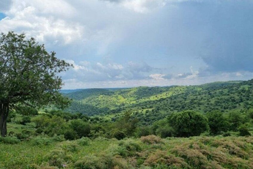Tolfa : trekking ring of Ferrone 1