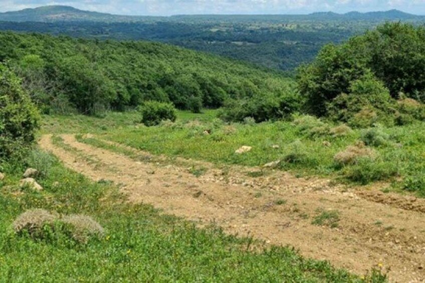 Tolfa : trekking ring of Ferrone 5