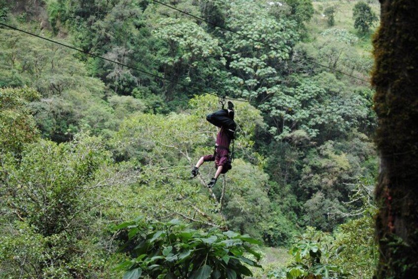 Zipline between Rivers and Forests 2