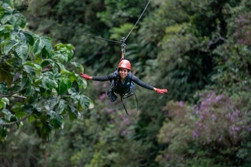 Zipline between Rivers and Forests 5