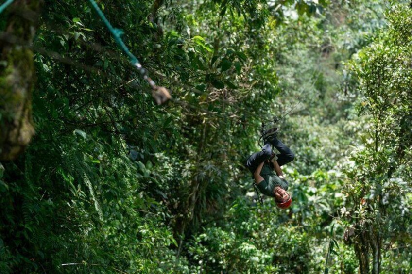 Zipline between Rivers and Forests 3