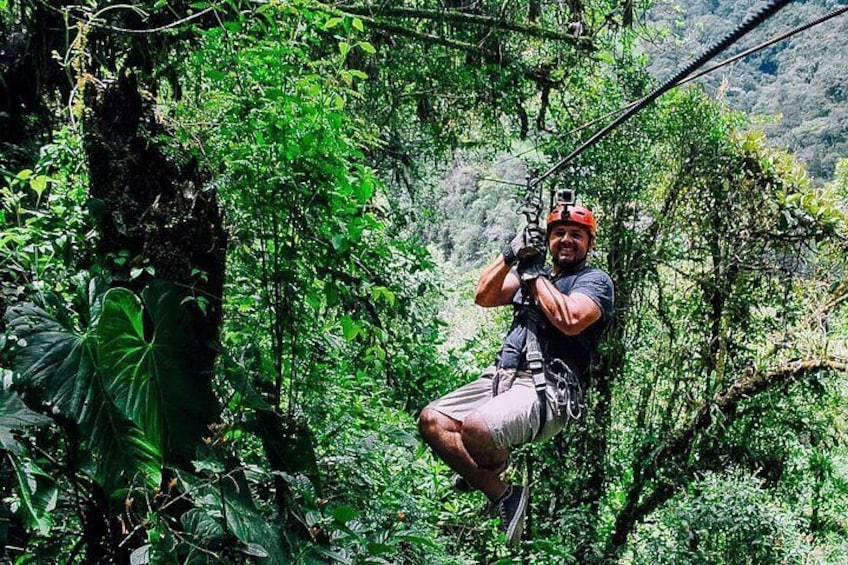 A person zip-lining through a dense forest. 5